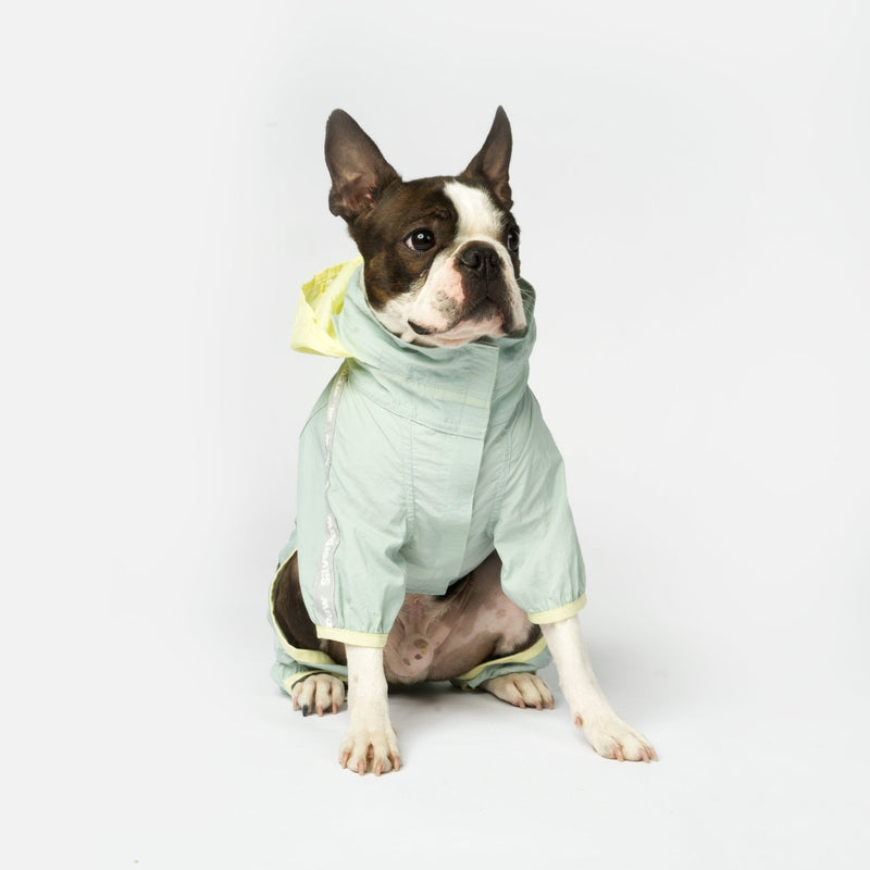 Bobbi - 2 Piece Splash Suit - Silver Paw
