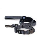 Dog Collar With Leash