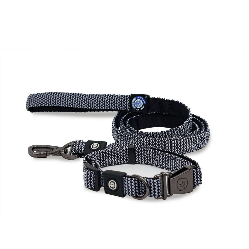 Dog Collar With Leash