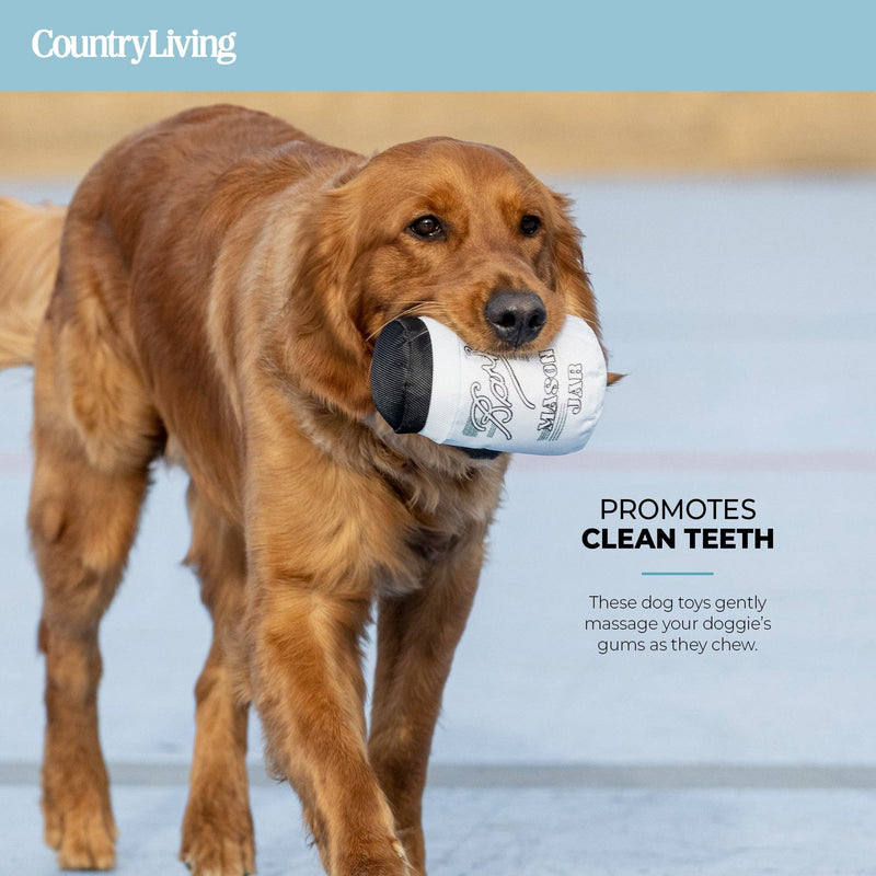 Durable Fish & Mason Jar Dog Toys – 2 Pack for Aggressive Chewers