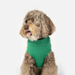 Christmas Dog Sweater - Silver Paw