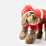 Claus Dog Pjs - Silver Paw