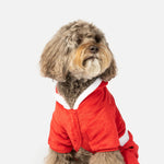 Claus Dog Pjs - Silver Paw