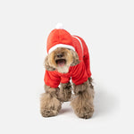 Claus Dog Pjs - Silver Paw