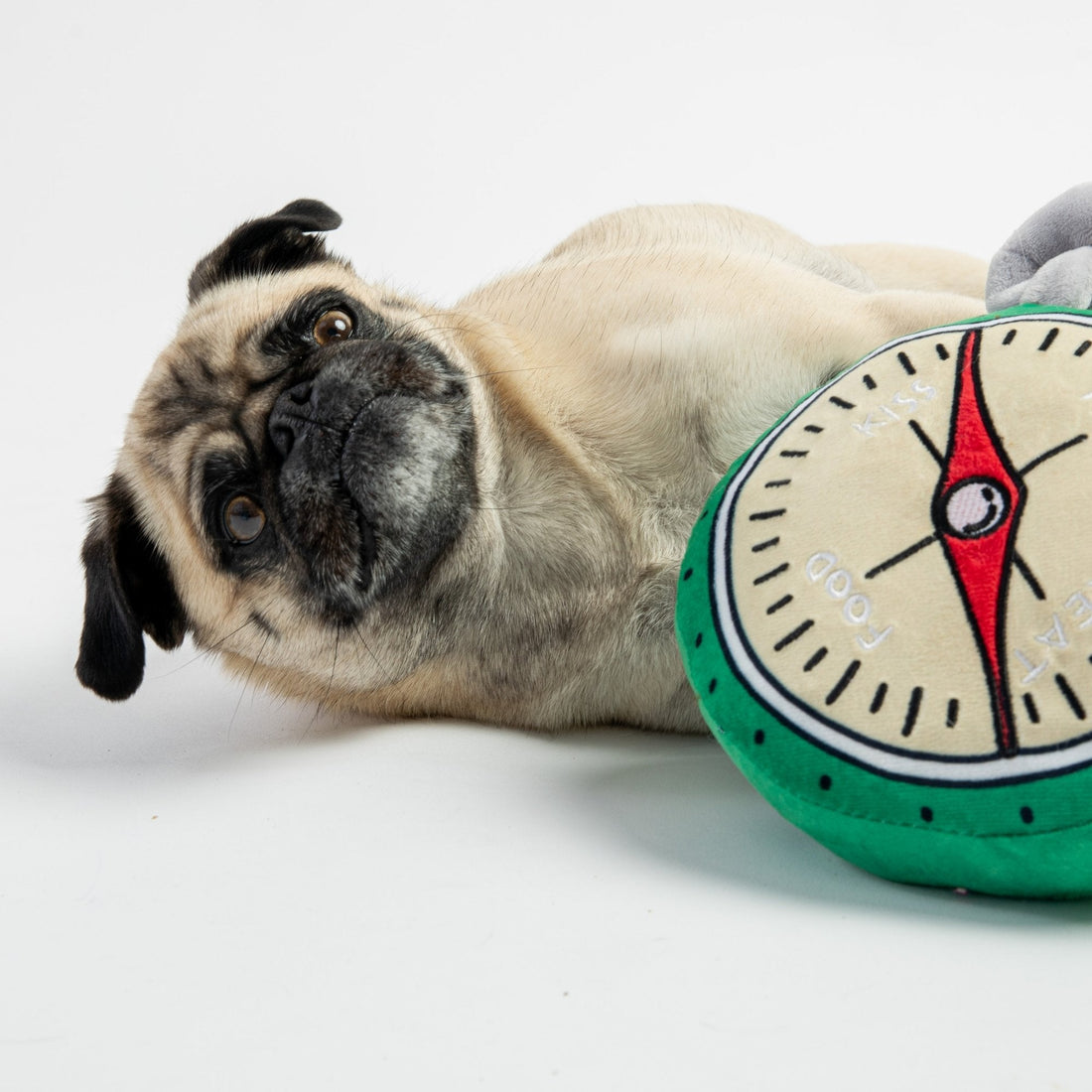 Compass- Dog Toy - Silver Paw