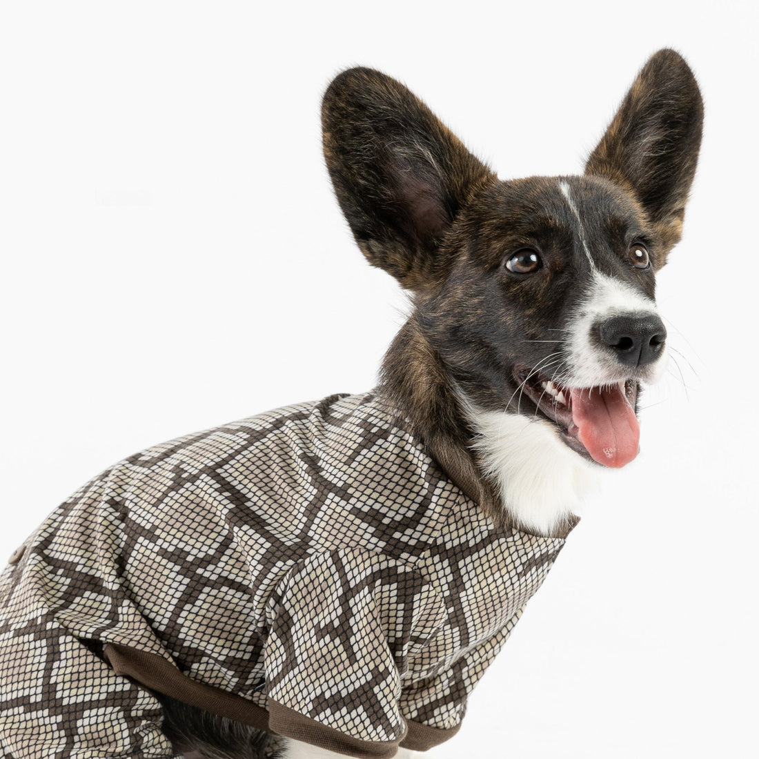 Dog Pajama - Snakeskin - Silver Paw