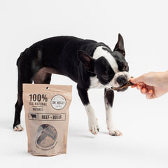 Dr. Kelly The Vet 100% Natural Dog Treats - Beef - Silver Paw