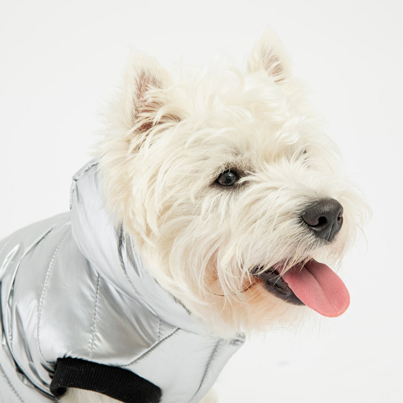 Emma Dog Jacket - Silver - Silver Paw