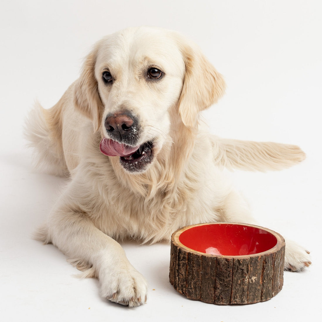 Farmhouse Wood Dog Bowl - Silver Paw