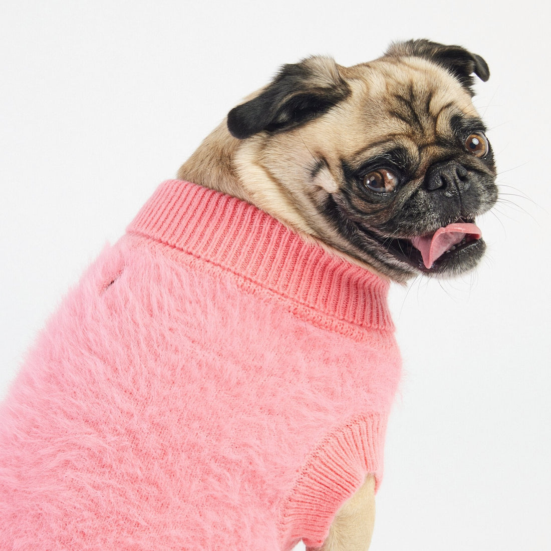 Fifi Dog Sweater - Silver Paw