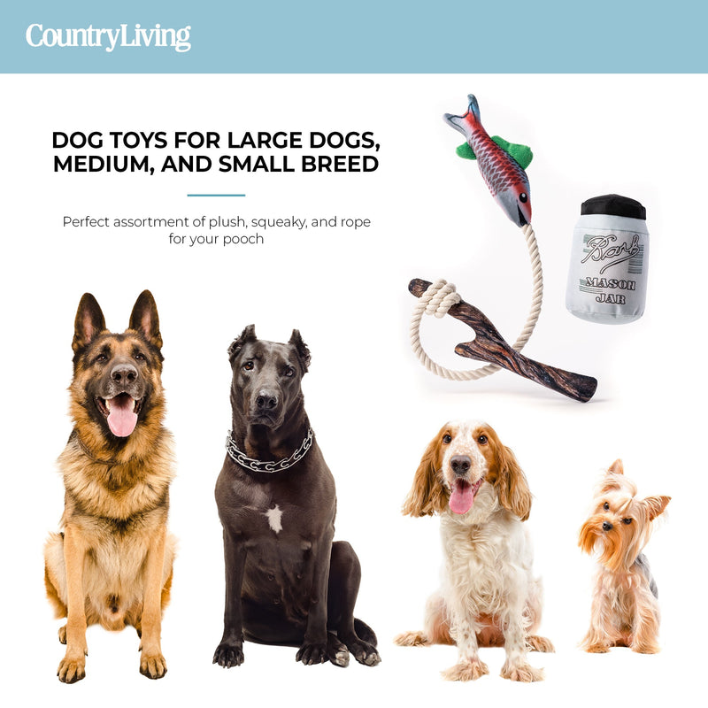 Fish & Mason Jar Dog Toys 2 Pack - Silver Paw
