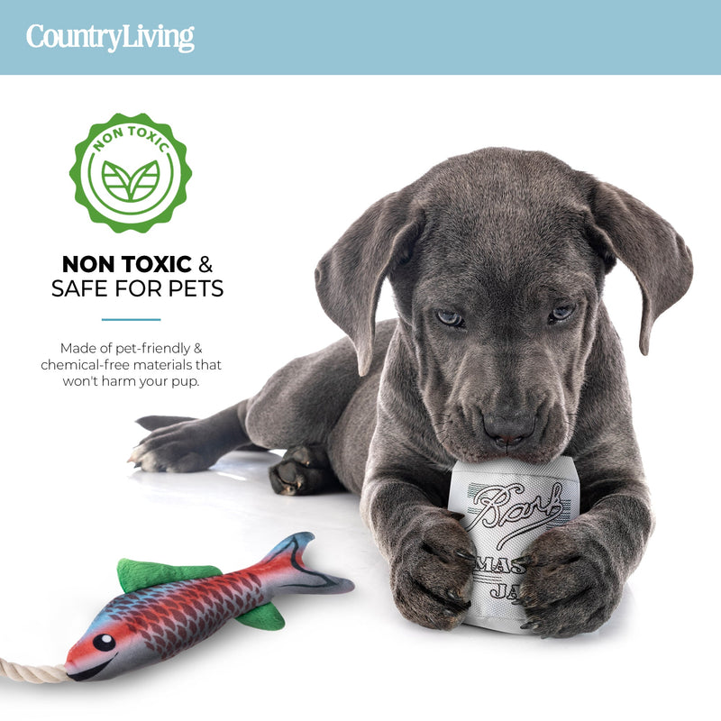 Fish & Mason Jar Dog Toys 2 Pack - Silver Paw