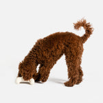 Game Console With Chicken Scent Dog Toy - Silver Paw