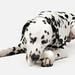 Game Console With Chicken Scent Dog Toy - Silver Paw