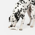 Game Console With Chicken Scent Dog Toy - Silver Paw