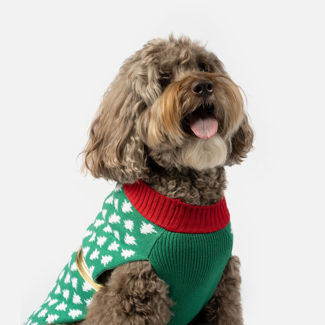 Gift Dog Sweater - Silver Paw