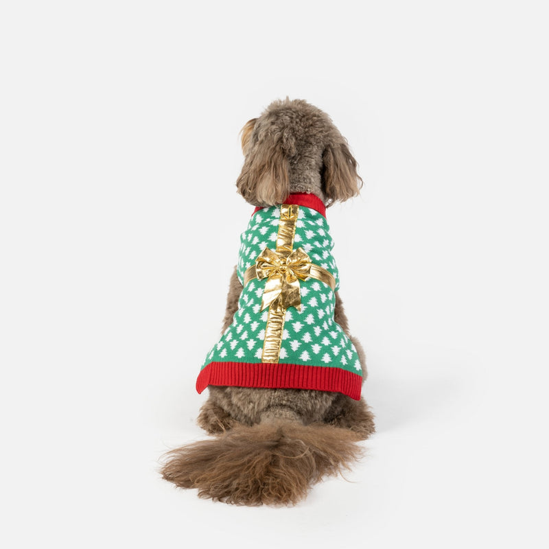 Gift Dog Sweater - Silver Paw