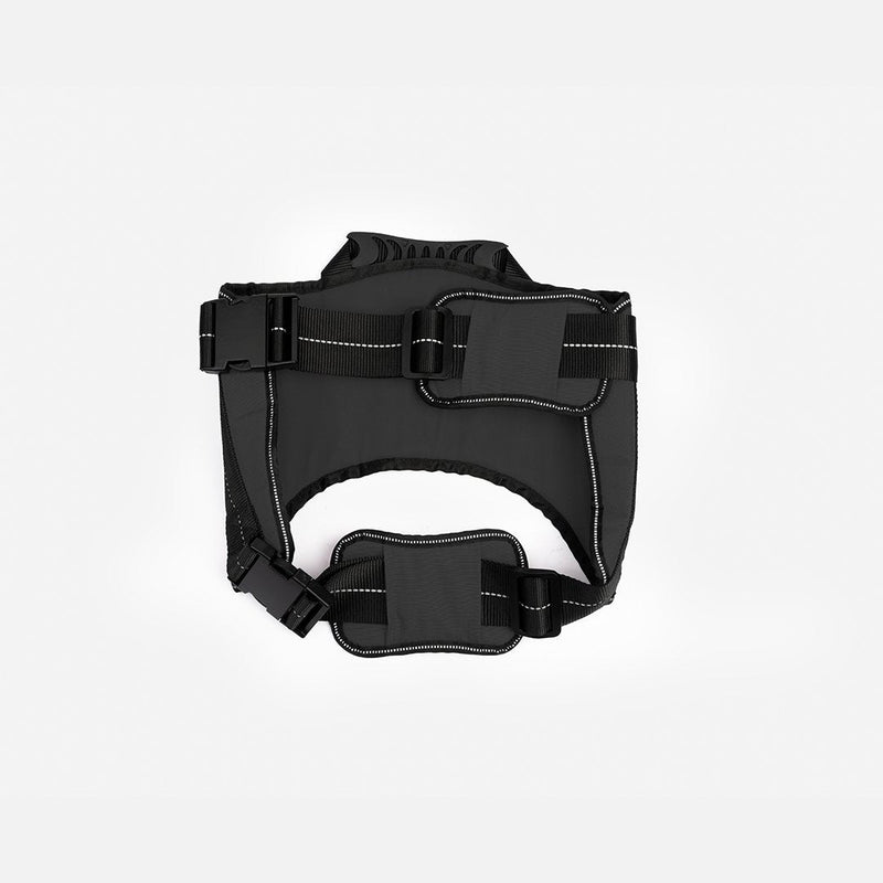 Heavy Duty Harness Black - Silver Paw