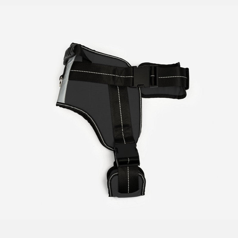 Heavy Duty Harness Black - Silver Paw