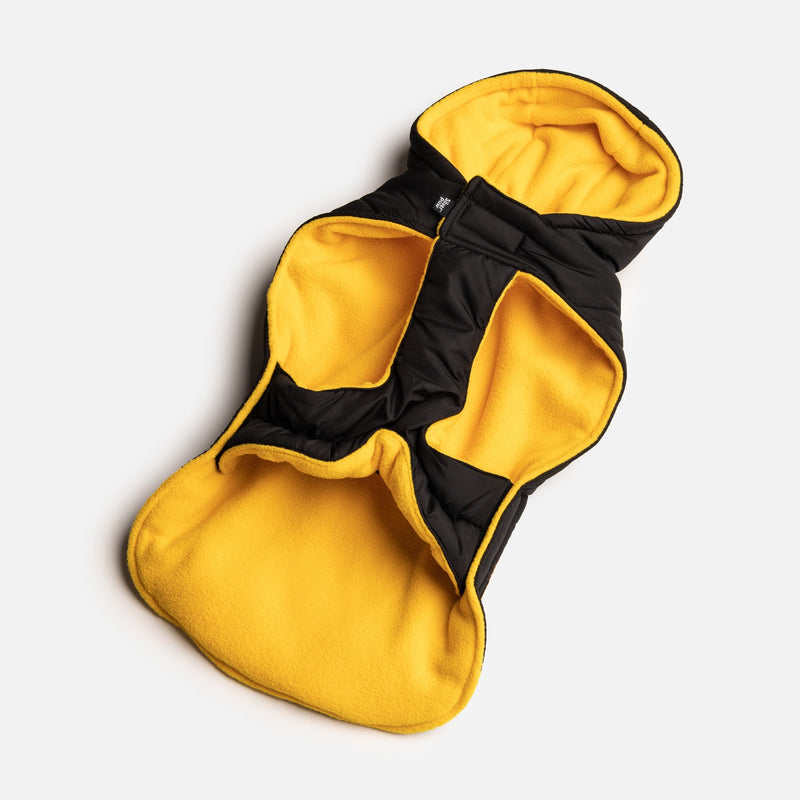 Jackson Dog Jacket - Black - Silver Paw