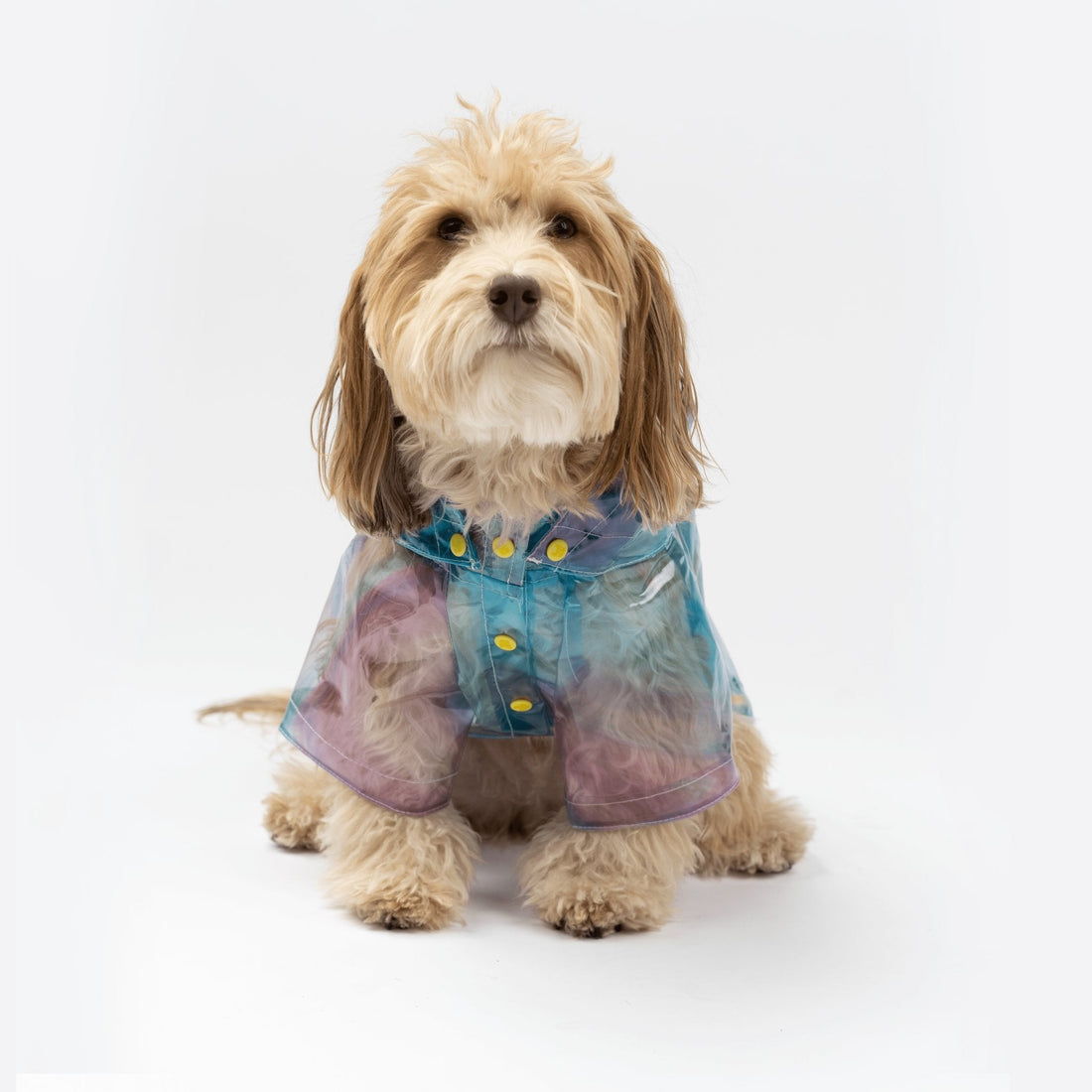 Kinney Dog Translusent Raincoat - Silver Paw
