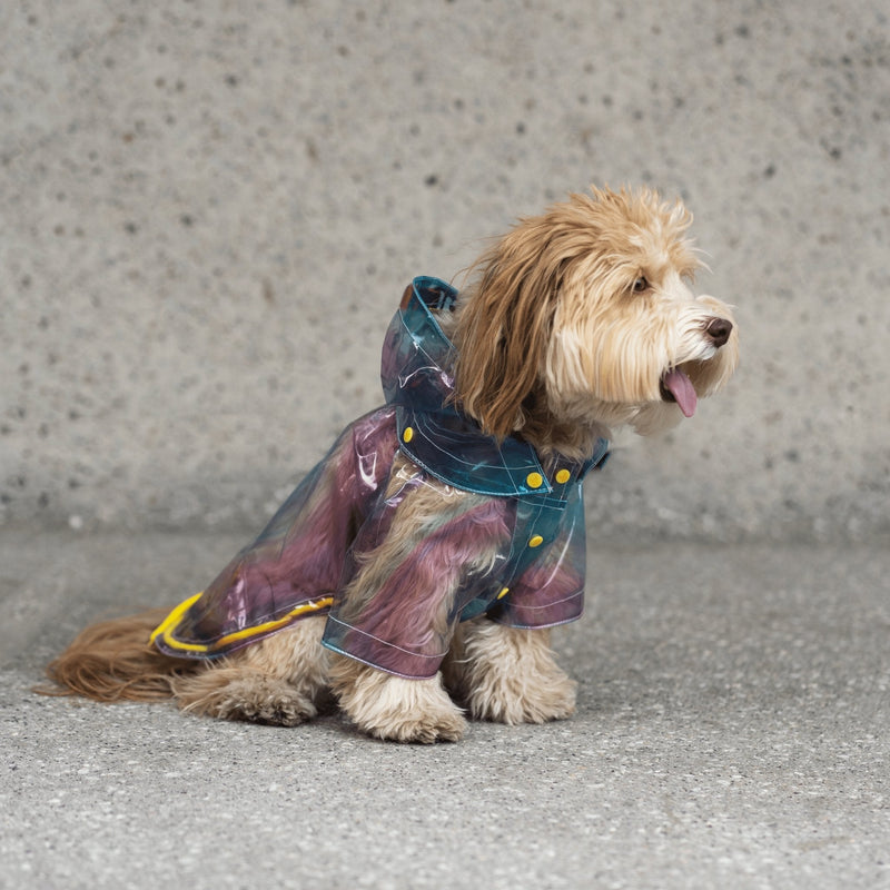 Kinney Dog Translusent Raincoat - Silver Paw