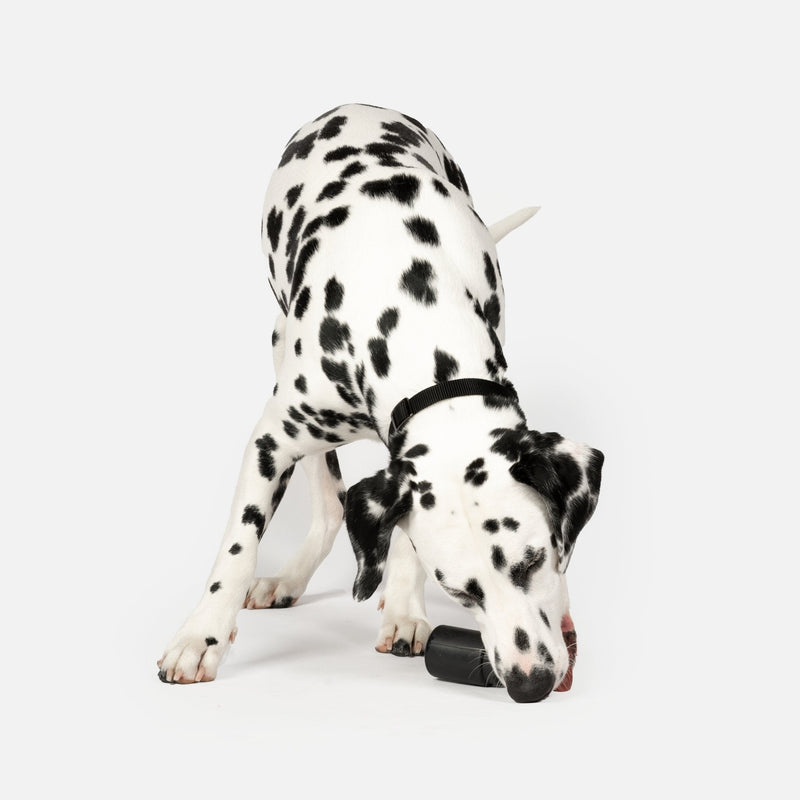 Lipstick Dog Toy - Silver Paw