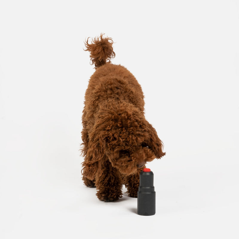 Lipstick Dog Toy - Silver Paw