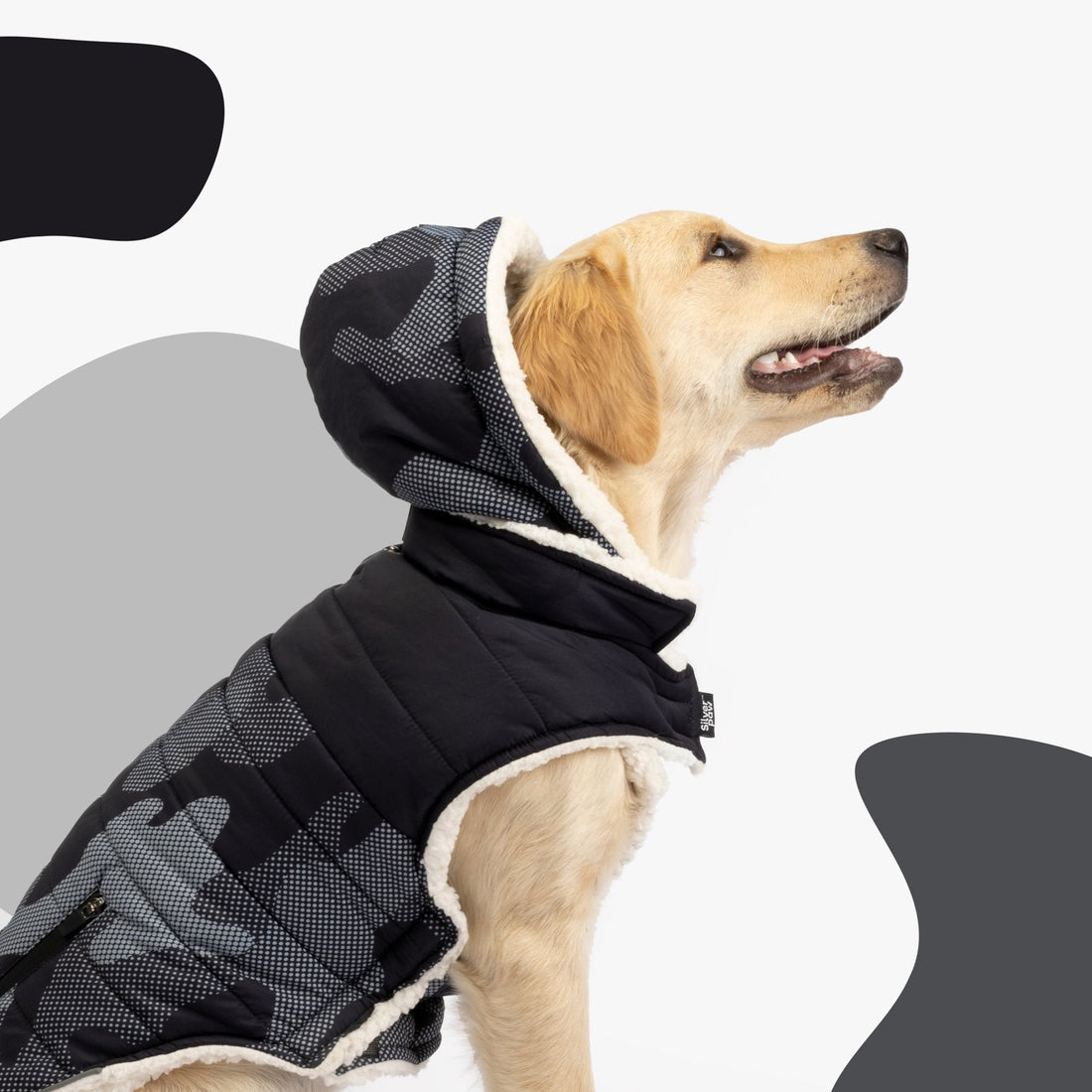 Marley Dog Jacket - Blue - Silver Paw