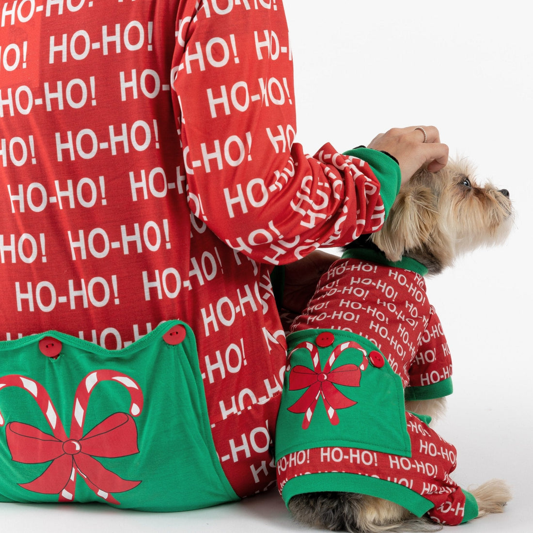 Matching Human &amp; Dog Onesie - Ho-Ho! - Silver Paw
