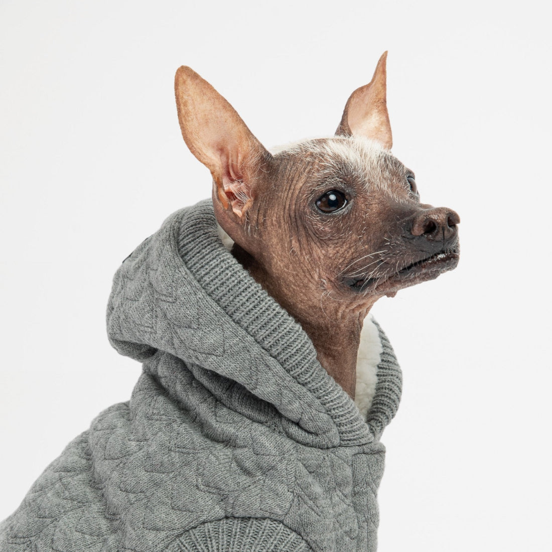 Maxwell Dog Sweater - Grey - Silver Paw