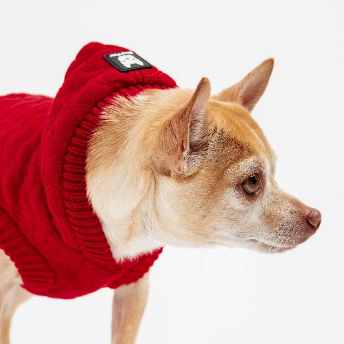 Maxwell Dog Sweater - Red - Silver Paw