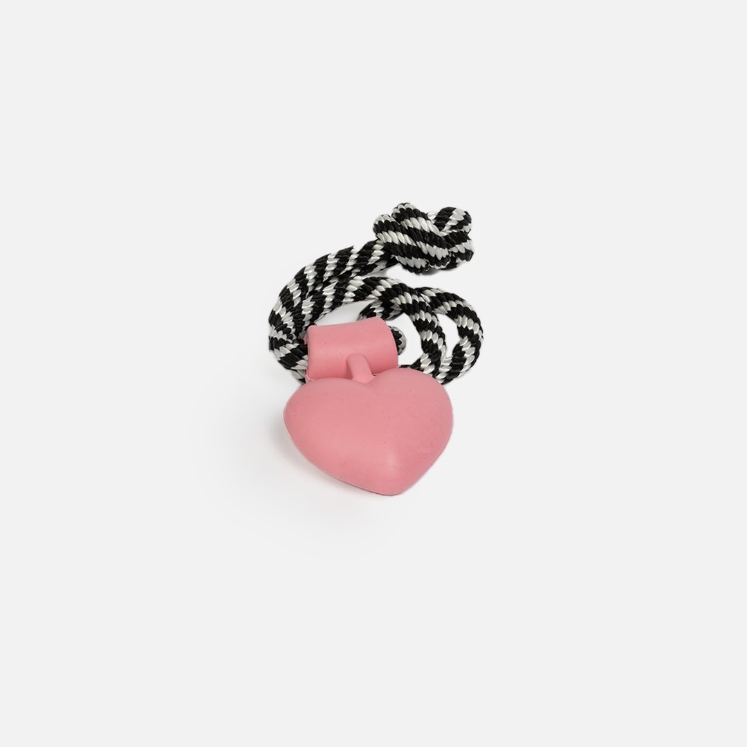 Collier pour chien | Jouet à mâcher en caoutchouc 100 % naturel, motif flottant et parfum lavande