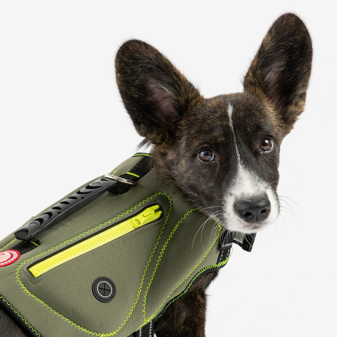 Gilet de sauvetage pour chien en néoprène kaki – Gilet de flottabilité sûr et élégant