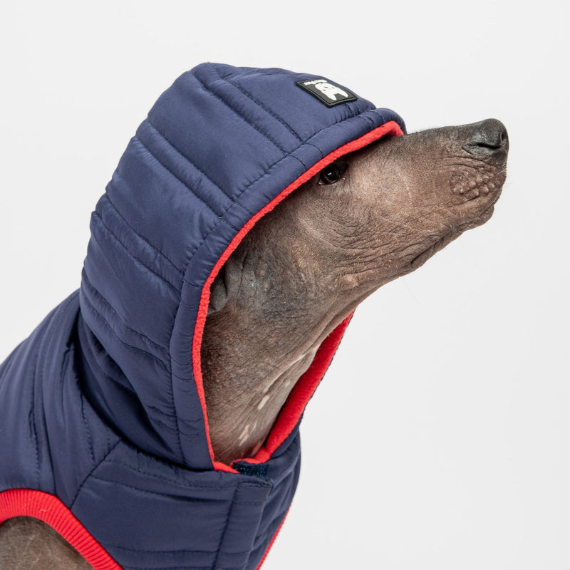 Noah Dog Jacket – Quilted Water-Resistant Winter Coat with Harness Access (Blue)