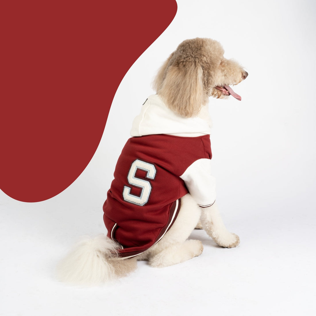 Otis Dog Letterman Jacket – Varsity-Inspired Bomber with Hood &amp; Leash Access
