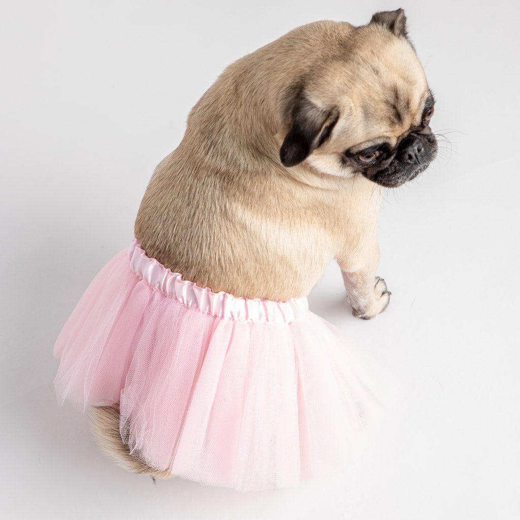 🎀🐶 Costume de chien tutu rose