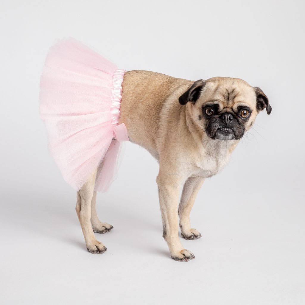 🎀🐶 Costume de chien tutu rose