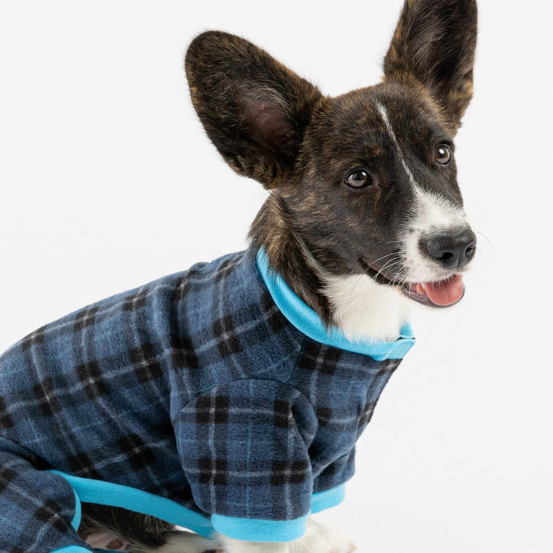 Pyjama pour chien à carreaux bleus – Combinaison douce et confortable pour un confort ultime