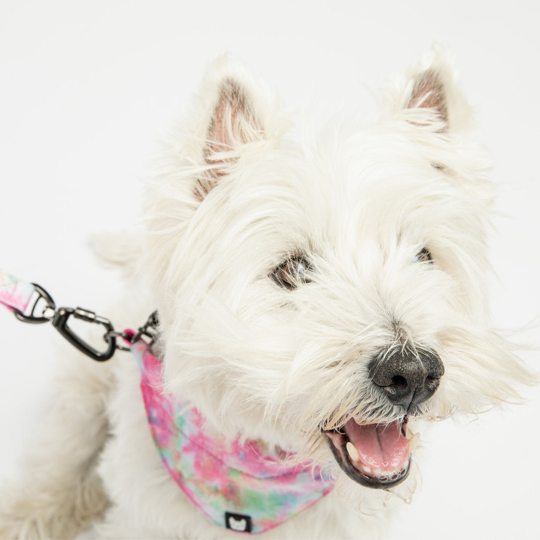 Collier bandana pour chien en popeline tie-dye rose – Accessoire pour animaux de compagnie réglable et élégant
