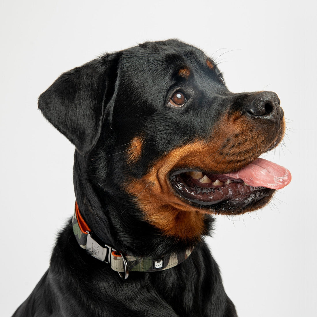 🦴 Camo Dog Collar – Durable Adjustable Collar with Patented Metal Buckle