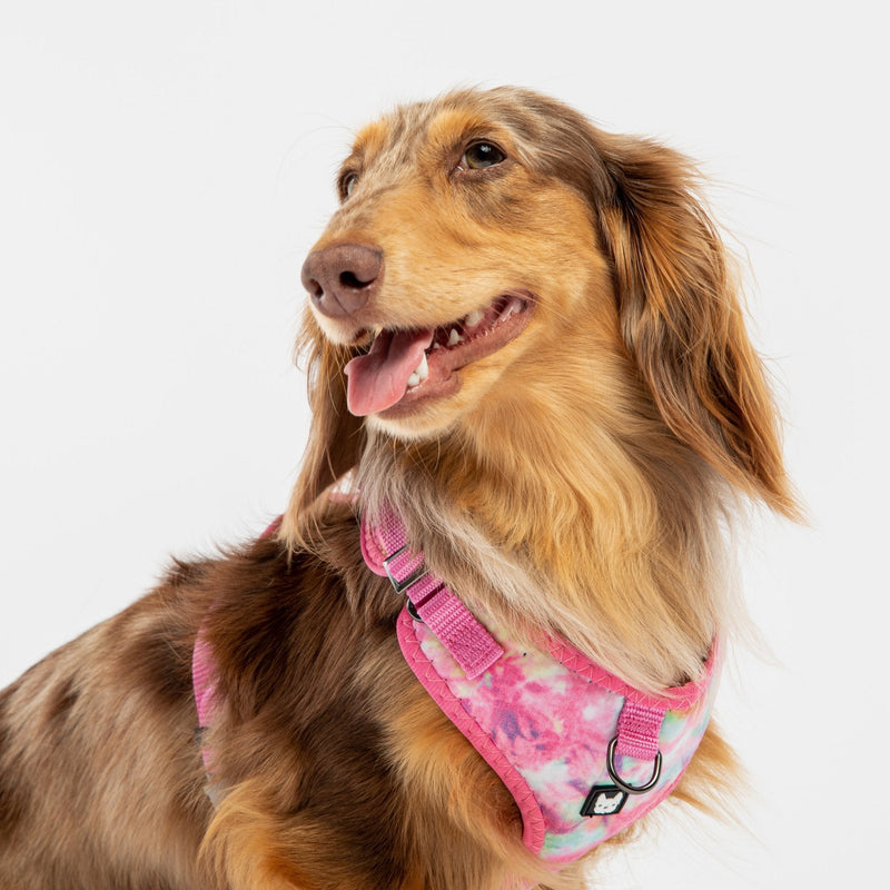 Harnais pour chien en popeline rose tie-dye – Réglable, sécurisé et élégant