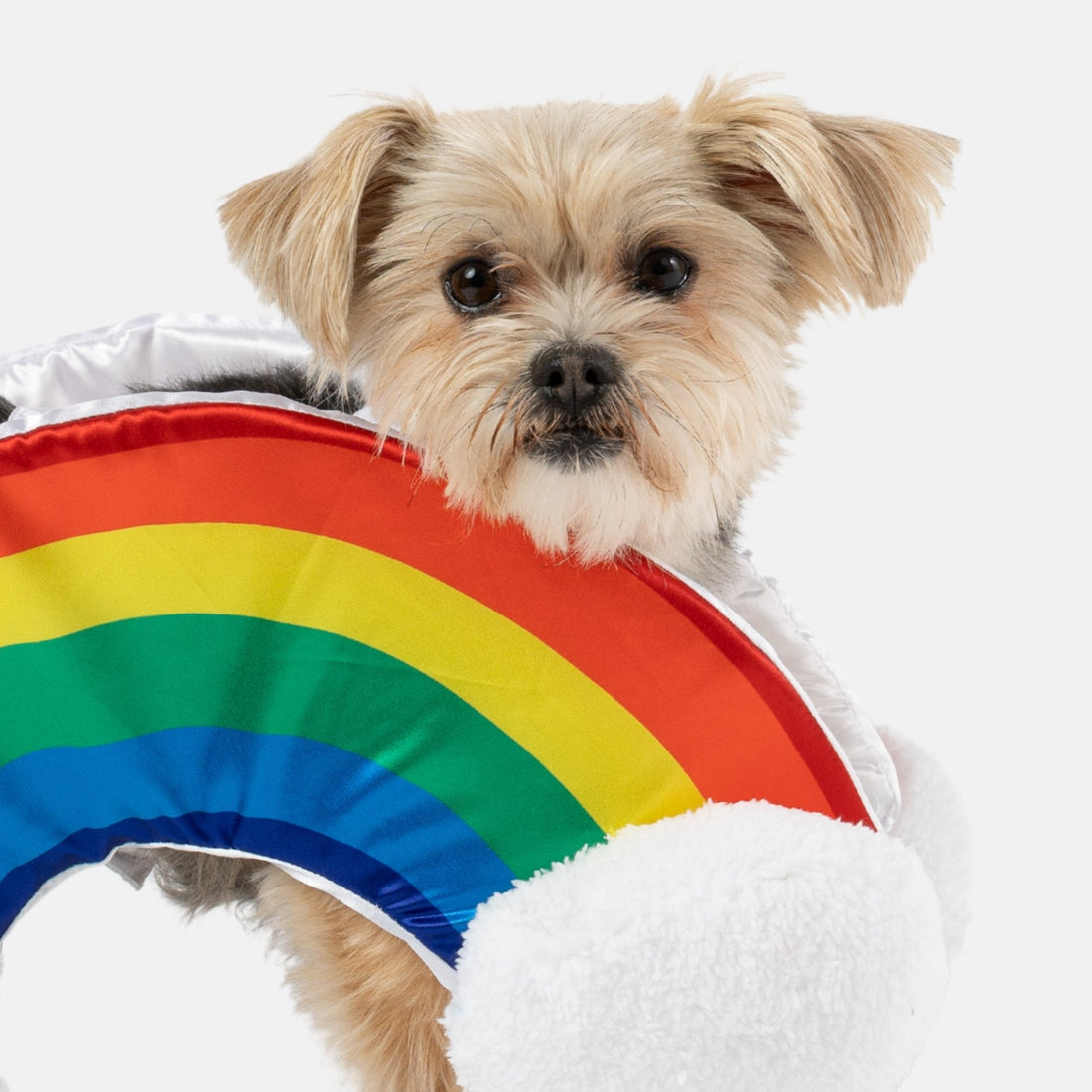 🌈☁️ Costume de chien arc-en-ciel – Tenue assortie colorée et amusante pour animal de compagnie