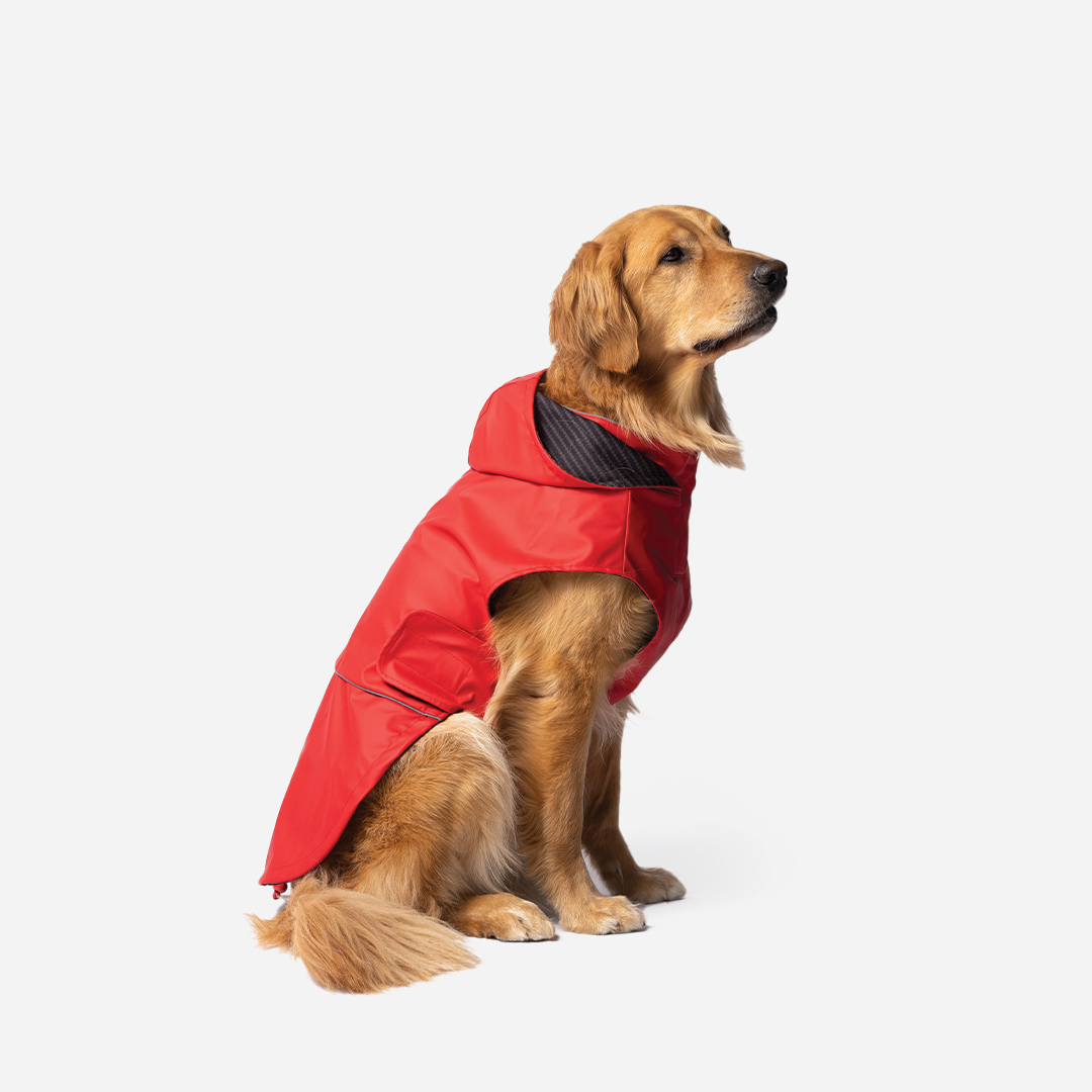 Aden 2.0 Dog Raincoat Red – Waterproof, Adjustable Fit, Reflective Piping &amp; UV Protection
