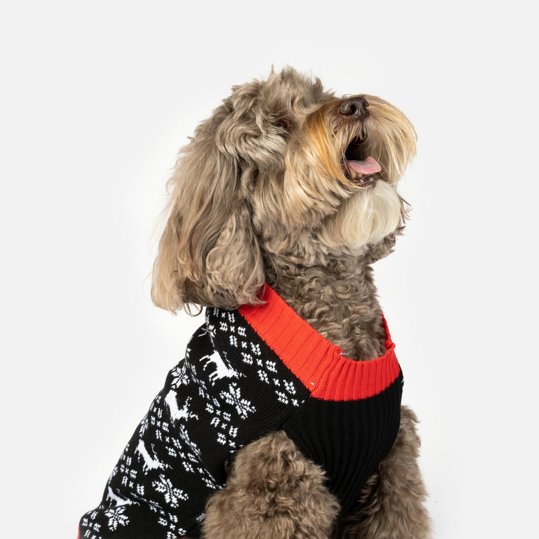 Pull pour chien renne – Tricot douillet pour les fêtes avec motif renne festif 