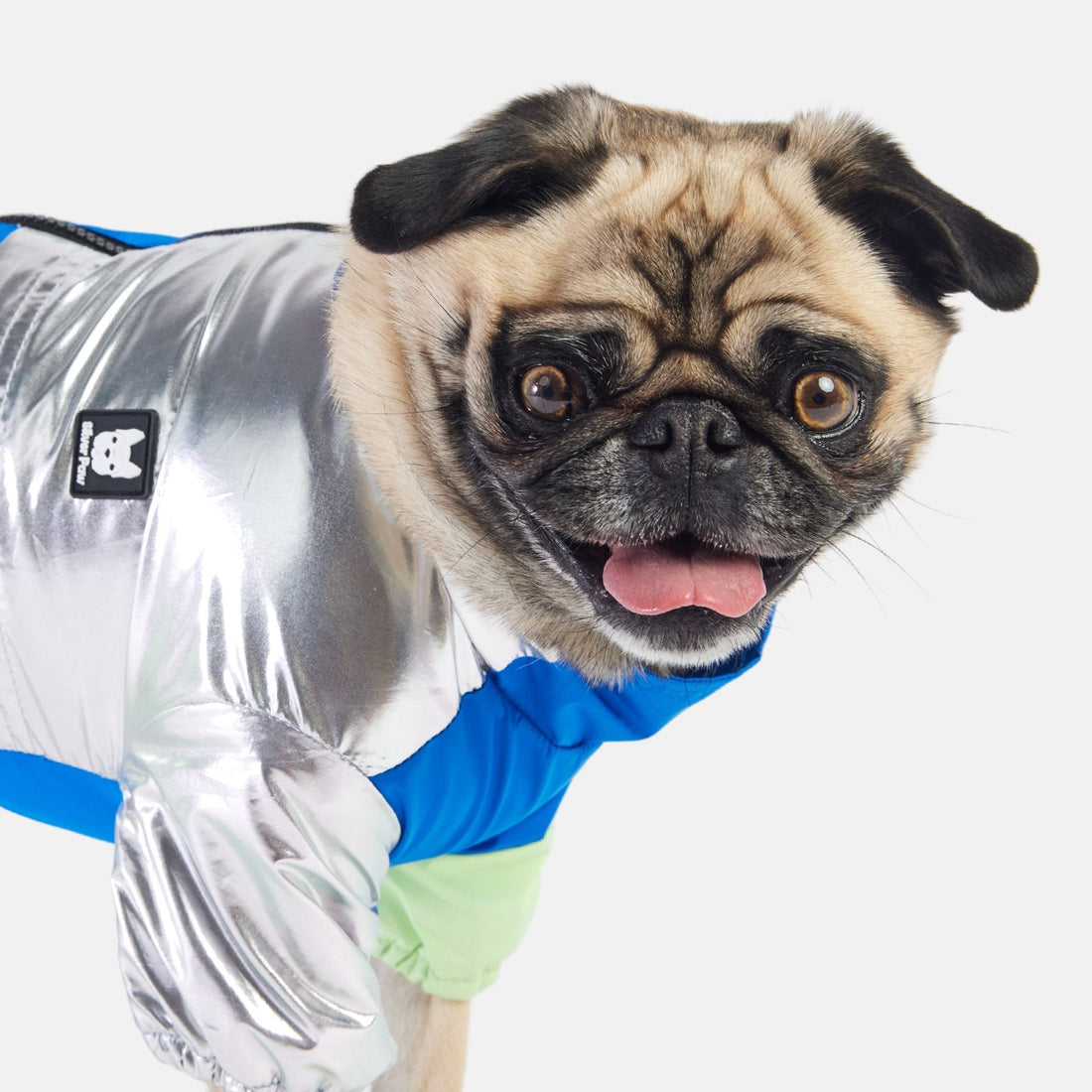Survêtement pour chien Ricki – Combinaison imperméable bleue avec accès au harnais et fermeture éclair