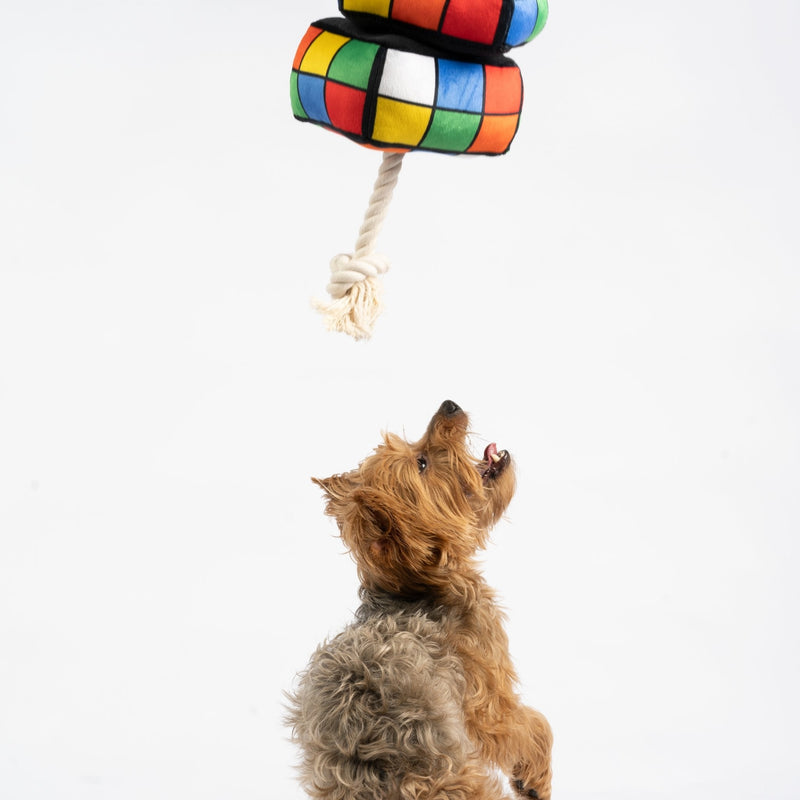 Jouet pour chien Robix Cube – Peluche couinante avec corde à tirer pour un jeu interactif