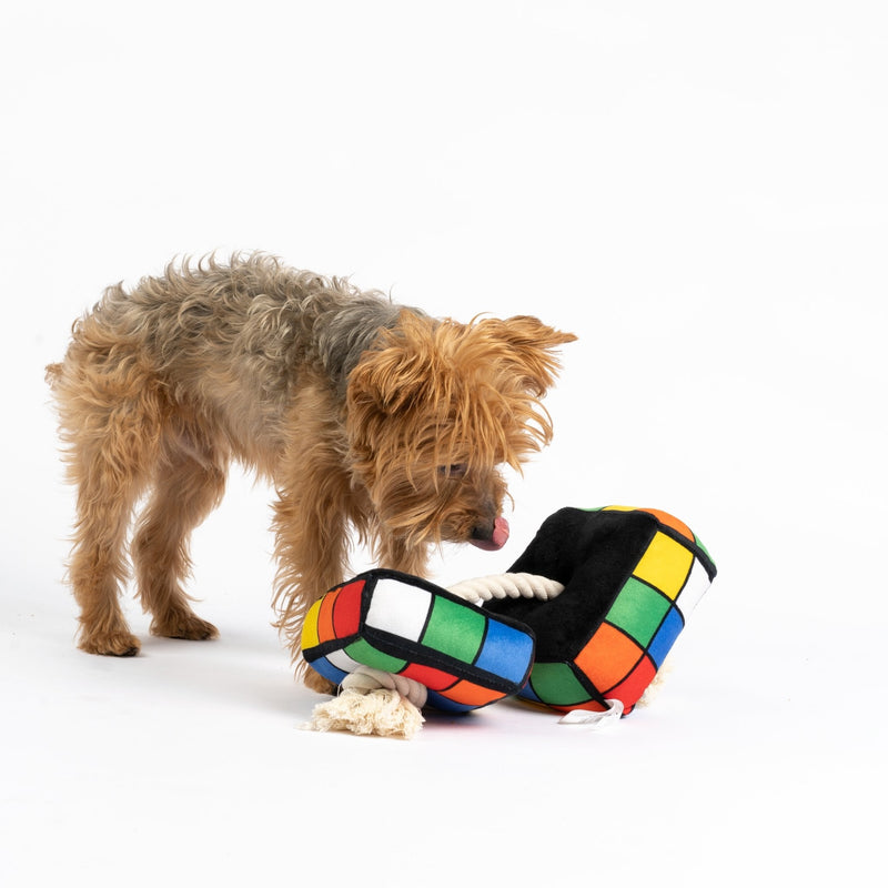 Jouet pour chien Robix Cube – Peluche couinante avec corde à tirer pour un jeu interactif