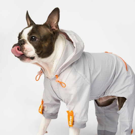 Sammy - Splash Suit - Silver Paw