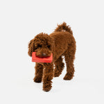 Jouet pour chien avec haut-parleur | Jouet à mâcher 100 % caoutchouc naturel avec distributeur de friandises et parfum poulet